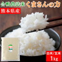 人気ランキング第7位「熊本名物本舗　あさぎり物産館」口コミ数「2件」評価「5」送料無料 合鴨農法米 くまさんの力 1kg 令和5年産 お米 白米 玄米 熊本県産 アイガモ 合鴨 栽培期間中農薬不使用 化学肥料不使用【クロネコゆうパケット配送】