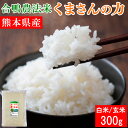 人気ランキング第6位「熊本名物本舗　あさぎり物産館」口コミ数「4件」評価「4.75」合鴨農法米 くまさんの力 300g 令和5年産 送料無料 お米 白米 玄米 熊本県産 アイガモ 合鴨 栽培期間中農薬不使用 化学肥料不使用【クロネコゆうパケット配送】