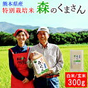 令和5年産 特別栽培米 森のくまさん 300g お米 白米 玄米 熊本県産 農薬不使用 化学肥料不使用 