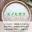 【ネコポス配送】令和5年産 合鴨農法米 ヒノヒカリ 300g お米 白米 玄米 熊本県産 アイガモ 合鴨 栽培期間中農薬不使用 化学肥料不使用【送料無料】 3