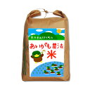 【送料無料】令和元年産 合鴨農法米ヒノヒカリ 白米4.5kg(玄米5kg)【栽培期間中農薬不使用】【アイガモ】【熊本県産】