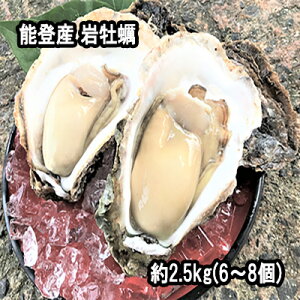 【検査済】能登産 岩牡蠣 約2.5kg（6〜8個）（生食用）（専用ナイフ、片手用軍手付）石川