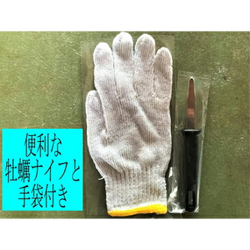 バーベキューセット 岩牡蠣 20個（約3kg）加熱用（牡蠣ナイフ、片手用軍手付）能登産 BBQ