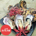 能登牡蠣 かき 殻付き(半缶 約45個)(約5kg)(加熱用)(専用ナイフ、片手用軍手付)