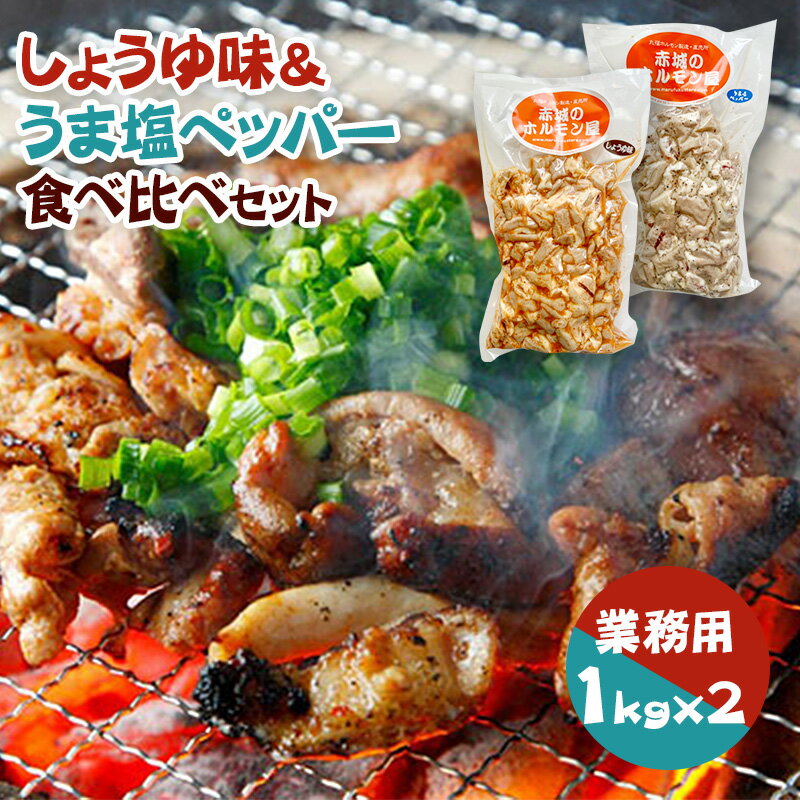 焼きとん 豚白モツ串 モツ焼き 焼き肉 塩だれ 5本 BBQ バーベキュー 焼肉 焼鳥 焼き鳥 惣菜 おつまみ 家飲み グリル ギフト 肉 生 チルド