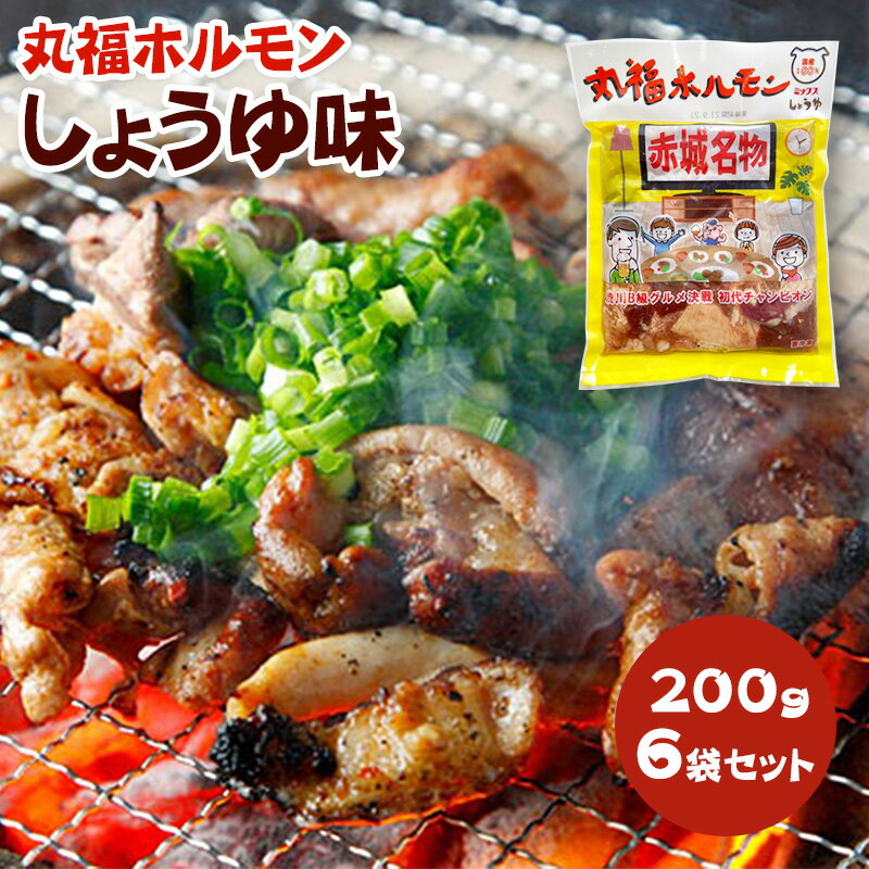 焼きとん 豚白モツ串 モツ焼き 焼き肉 塩だれ 5本 BBQ バーベキュー 焼肉 焼鳥 焼き鳥 惣菜 おつまみ 家飲み グリル ギフト 肉 生 チルド