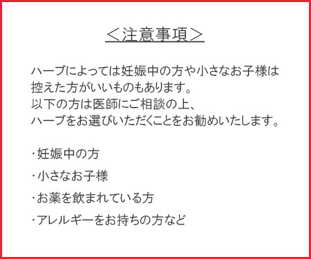 オーガニック ハーブティー アップルティーカット（リンゴ） 50g 有機栽培（無農薬） 無添加