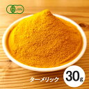 有機 オーガニック ターメリック(ウコン) パウダー 30g【スリランカ産】【スパイス 香辛料】有機JAS