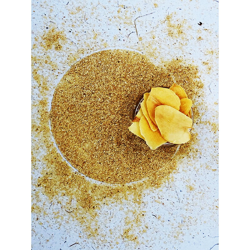 ガーリックパウダー オーガニック 有機JAS 100g【スパイス 香辛料】にんにくパウダー