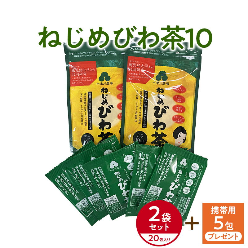 【1000円ポッキリ 送料無料】「ねじ