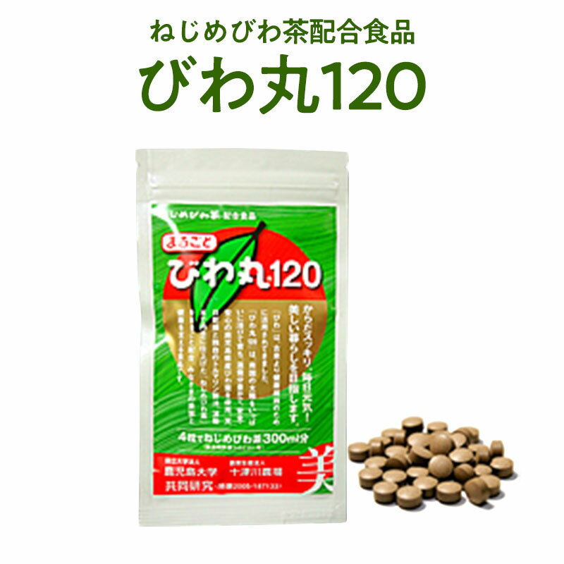 「びわ丸120」1袋【送料無料】【産地直送】【鹿児島】【十津川農場】ねじめびわ茶のサムネイル