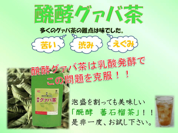 醗酵グァバ茶（60袋）　2セット　全120包【グアバ茶】【送料無料】【産地直送】