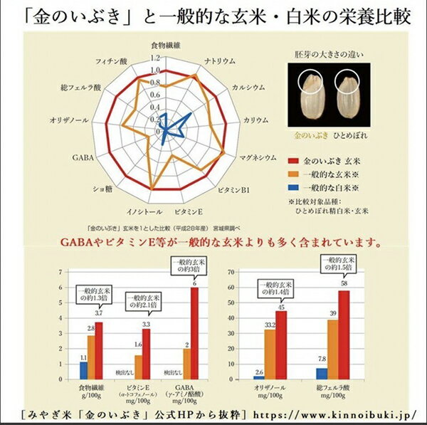 普通の炊飯器で炊ける玄米です。美味しさそのまま長期保存可能。　新米 令和7年産 金のいぶき 玄米 お試し 900g 真空パック【すわげんの省洗米】銘柄米 ブランド米 宮城県