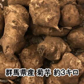 菊芋 生 約3キロ 無農薬 国産 土付き きくいも 3kg キクイモ 群馬県産