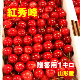 【予約】さくらんぼ 紅秀峰 手詰め 1キロ 贈答用【クール便発送】【送料無料】【山形産】だいちゃん農園