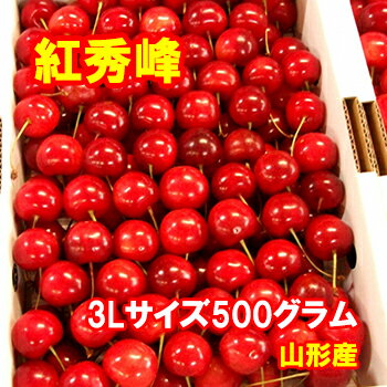 さくらんぼ 【予約】さくらんぼ 紅秀峰 3Lサイズ 500グラム【クール便発送】【送料無料】【山形産】だいちゃん農園