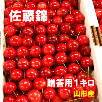 さくらんぼの収穫量No1の山形県の無袋ふじ発祥の地「朝日町」で農業歴450年、10代目園主が安全安心を心掛け、「より高品質なものをよりお手ごろ価格で」をモットーに奮戦中の農家です。 出荷の基準を「見た目」や「ご指定日」でなく、あくまでも「美味しさ」にこだわっておりますので、発送までお待ち頂く場合がありますが、ご了承くださいませ。 お客様のお手元に届き、ご賞味頂いた瞬間、畑から直送の新鮮な果物の息吹きと香り、みずみずしさと美味しさを実感出来る事を、お約束いたします。 ※コルト台木（根の張りが良いので糖度が高い）で生産された希少価値のプレミアムチェリーなので、数量限定のため先着順とさせていただいております。 【内容量】 さくらんぼ　佐藤錦　手詰め　贈答用　1kg 【販売期間】 6月下旬〜 【生産者】 だいちゃん農園（山形県西村山郡） さくらんぼの商品ラインナップへ