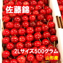 【予約】さくらんぼ 佐藤錦 2Lサイズ 500グラム【クール便発送】【送料無料】【山形産】だいちゃん農園