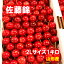 【予約】さくらんぼ 佐藤錦 2Lサイズ 1キロ【クール便発送】【送料無料】【山形産】だいちゃん農園