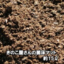 菌床シイタケの栽培後に残る菌床（廃菌床）でカブトムシやクワガタを大きく育てませんか。菌床は、おがくずにきのこ菌を打ち込んだもので、栄養満点、幼虫飼育期のエサとしてマニアの間で利用されています。自然豊かな国産農園で採れた昆虫マットです。 注）...