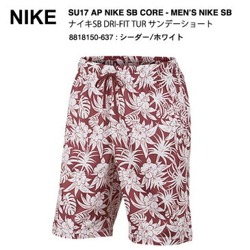 NIKE SB DRI-FIT TUR サンデーショート 881850-637 ナイキ エスビー 17SU CORE