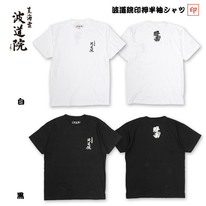 ƻꥸʥ륢ѥȾµ/ShortSleeve¢ͥץǥ桼֥