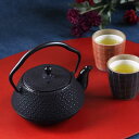 【南部鉄器】鉄瓶 鉄急須 兼用瓶 腰張型亀甲アラレ(茶こし付) 0.5L 及春鋳造所 直火可 やかん ケトル 茶瓶 茶器 鉄分補給 日本製