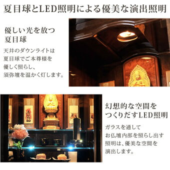 【イオスニューギニアウォール16×48号】夏目球とLED照明による優美な演出照明