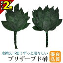 【P2倍★マラソン限定】榊 ブリザーブド榊 2本セット 神具 プリザーブド榊 1対(2本セット)【選べる3サイズ ミニ・通常・大サイズ】 榊 [神棚 神道 祖霊...