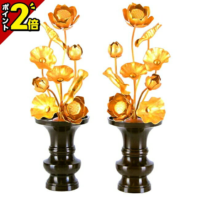 zyoka-a-070.jpg zyoka-a-070.jpg
