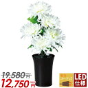 【残り3点】お盆 提灯 盆提灯 ミニ モダン 新盆 置き提灯 LED 花 造花 ちょうちん おしゃれ かわいい【ルミナス 新ルミナス 菊白(電気コード式・LED...