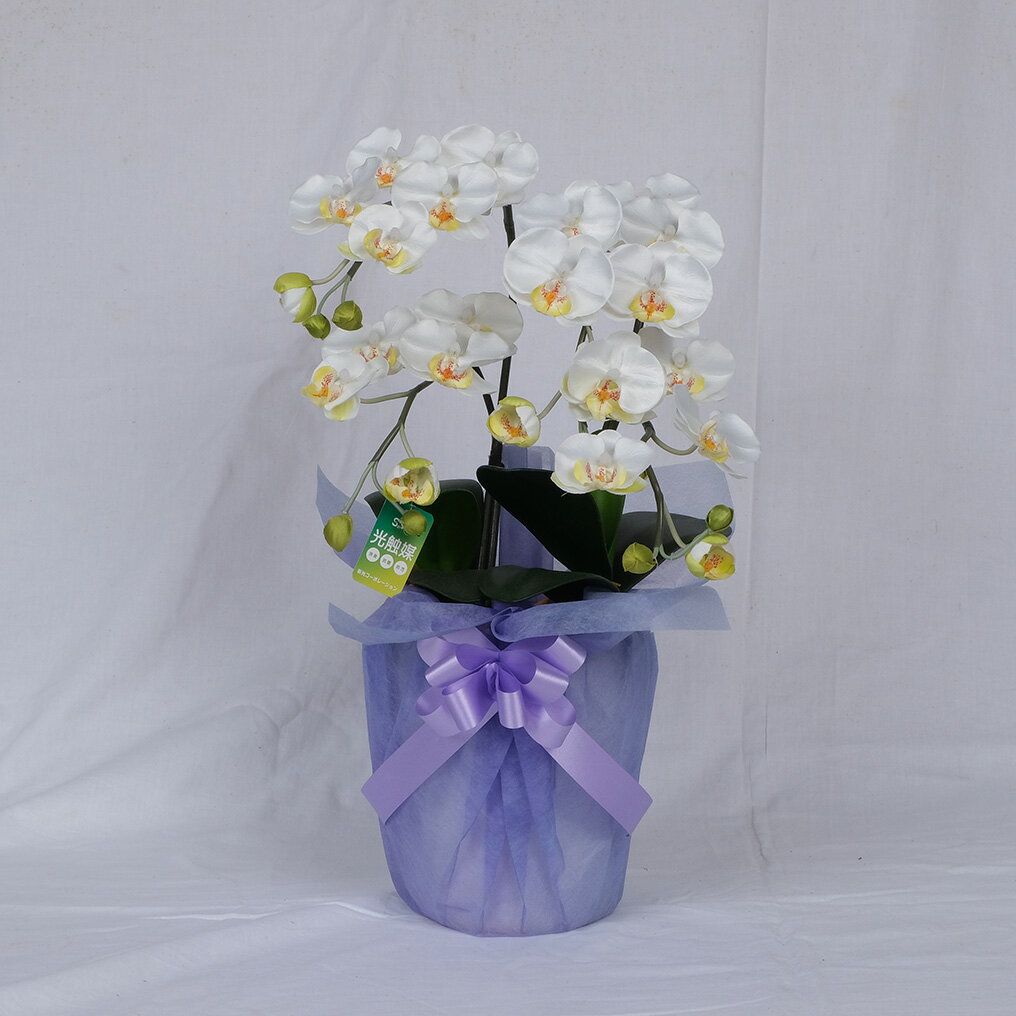 【セール期間中ポイント10倍】京・MIYAKO（PS2シリーズ）白黄 箱入 総高約50.0総巾約30.0cm 仏花 供花 ..