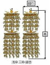仏具 輪灯瓔珞 浅傘.三枠イチョウ 4.5寸 輪灯 【真宗大谷派 東 】