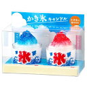 ろうそく 『故人の好物シリーズ』 かき氷キャンドル ミニ 2個セット いちご ブルーハワイ 夏 亀山 カメヤマ ミニチュア ろうそく