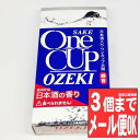 楽天京念珠 仏具 京都・森信三郎商舗進物線香 ワンカップ大関 ミニ寸 お酒の香りの線香 故人の好物シリーズ コラボ商品 お酒の香り （御供 父の日 母の日 食品サンプル プレゼント お香 線香 カメヤマ あす楽 お盆 贈答用 ギフト お悔やみ）