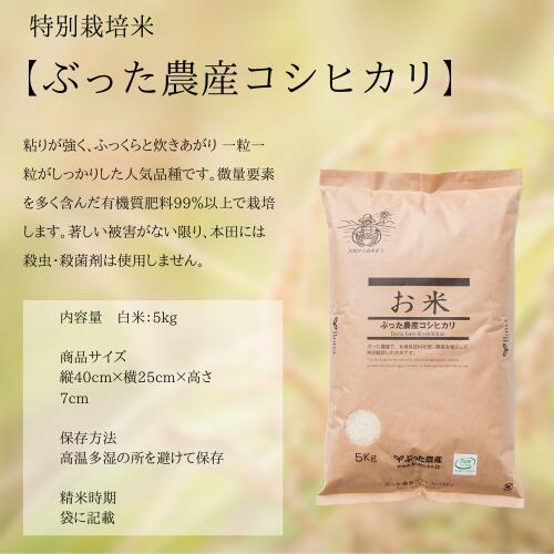 【ぶった農産コシヒカリ】特別栽培米 石川県産 コシヒカリ 白米 5kg 有機肥料100％...