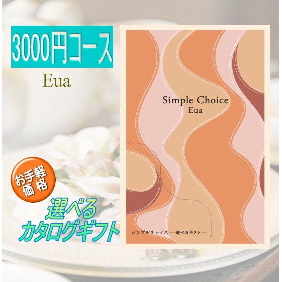 カタログ ギフト 3000円 コース Eua エウア シンプルチョイス 出産祝 香典返し 内祝 退職祝 入学祝 粗品 景品 賞品 記念品 販促品 お中元 ノベルティ おまけ プチギフト ポケットサイズ メッセージ 熨斗