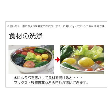 ホタパ 野菜 果物 洗い 洗浄剤 残留農薬 ワックス 除去 鮮度長持ち ビタミンC配合 粉末 90g 【多用途抗菌剤 天然素材 100% 】 HOTAPA