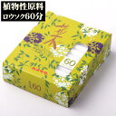 植物 ロウソク 「菜60」(クリオ)60分 fs060 長時間 災害用 ローソク 非常用 カメヤマ ろうそく/仏具用品 キャンドル 蝋燭