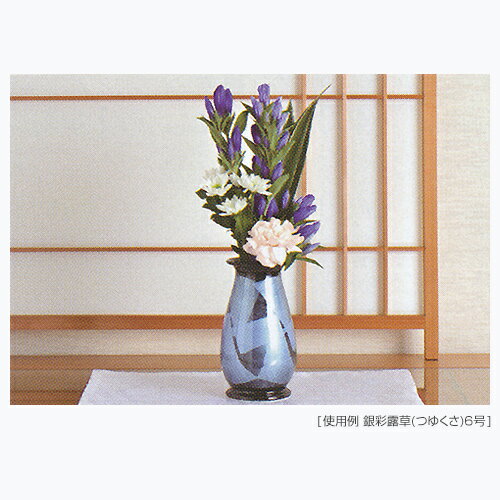 ʩ�� ��ƫ������ ����Ϥ �� ��Ω �ʲ��ӡ� �̶�ë�Ʋ��� 6�� ��110�߹�188mm ��Ȣ���ޡ� ����120�߶�140�߹�200mm ��Ȣ���� �ʥܡ��벽��Ȣ ���ʽ��� 620g