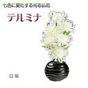 光ファイバー使用の光る仏花【7色に変化する煌めくお花 テルミナ:白菊】新盆 初盆 お盆用品 盆提灯 盆花 仏壇用仏具 送料無料【smtb-td】【RCP】