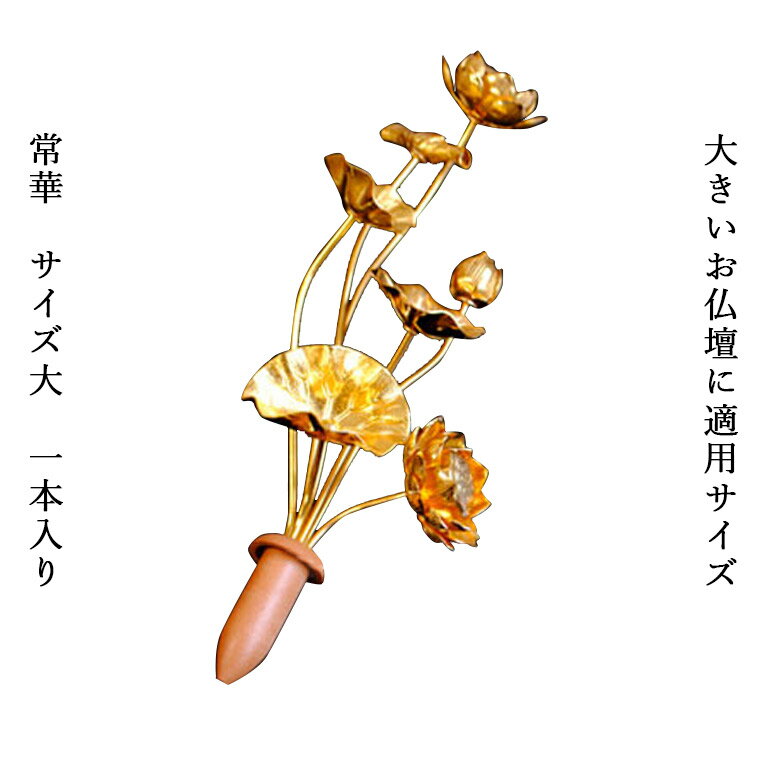 お仏壇用仏具（花立て）の定番品【常華（金蓮華）】サイズ：大【RCP】
ITEMPRICE