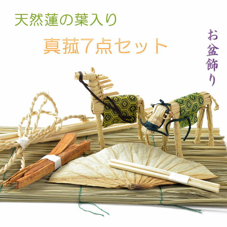 お盆飾り【天然蓮の葉入り・真菰（まこも）7点セット】お盆用品　新盆　初盆　盆棚　牛馬　仏壇　仏具　麻がら　迎え…