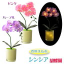 仏花【胡蝶蘭と花器が光るLEDライト シンシア:胡蝶蘭 パープル・ピンク 全2色】新盆 初盆 お盆用品 盆提灯 盆花 仏壇用仏具 送料無料【smtb-td】【R...