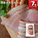 \1日限定P7倍!/国産大判ももハム 165g (ブッツ 房総オリーブポーク アルプス岩塩使用 ドイツ ボンレスハム シャルキュトリ 宅飲み オードブル 惣菜 お弁当 おかず 朝ごはん パーティー ワイン ビール おつまみ 人気 おすすめ ゲゼレ 800円 )