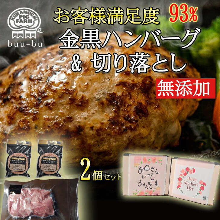 ＼ 楽天ランキング1位 ／ 受賞! 無添加 ハンバーグ お肉 セット 2個 小間切れ 300g1パック 送料無料 国産 人気商品 …