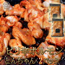 送料無料　とんちゃん　味付けホルモン　300g2パック ピリ辛 焼肉 丸腸 ホルモン 焼くだけ 肉 豚 鍋 しゃぶ お取り寄せ グルメ 食べ物 ..