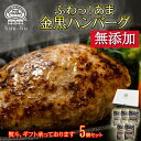 倉持ピッグファウム株式会社 無添加ハンバーグギフト