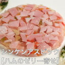 シンケンアスピック　2パック　100g 計200g ゼリー寄せ 加工品 詰め合わせ美味しい 豚肉 母の日 プレゼント