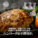 ＼ 楽天ランキング1位 ／ 受賞! 無添加 ハンバーグ お肉 セット 2個 小間切れ 300g1パック 送料無料 国産 人気商品 生ハンバーグ 豚肉 肉 和牛 黒毛和牛ハンバーグ ブランド お取り寄せ 自宅用 ギフト 冷凍ハンバーグ 高級 厳選お歳暮バレンタイン 会社 セット 詰め合わせ